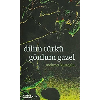 Dilim Türkü Gönlüm Gazel Mehmet Kurtoğlu