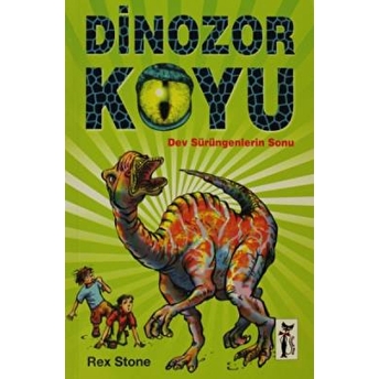 Dinozor Koyu Rex Stone