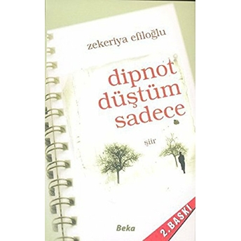 Dipnot Düştüm Sadece Zekeriya Efiloğlu