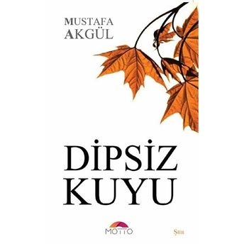 Dipsiz Kuyu Mustafa Akgül