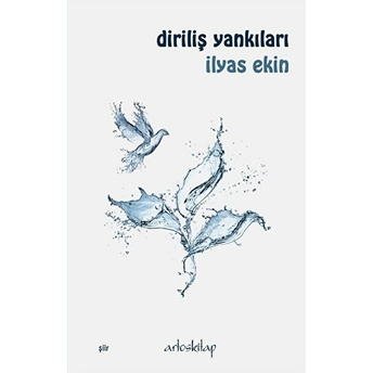 Diriliş Yankıları Ilyas Ekin