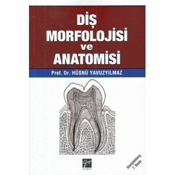 Diş Morfolojisi Ve Anatomisi Hüsnü Yavuz Yılmaz