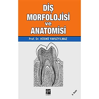 Diş Morfolojisi Ve Anatomisi - Hüsnü Yavuz Yılmaz