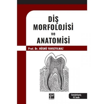 Diş Morfolojisi Ve Anatomisi Hüsnü Yavuzyılmaz