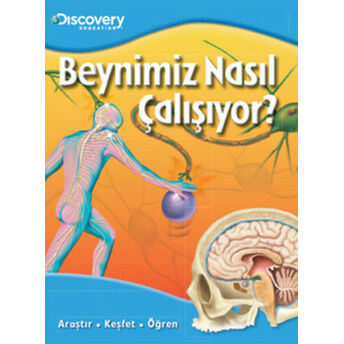 Dıscovery Education Beynimiz Nasıl Çalışıyor? Kolektif