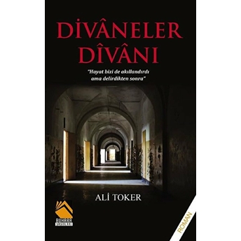 Divaneler Divanı Ali Toker