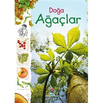 Doğa - Ağaçlar Laura Howell