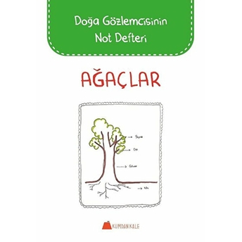 Doğa Gözlemcisinin Not Defteri Ağaçlar Cansu Demirbağ