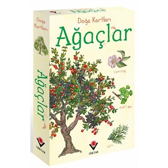 Doğa Kartları - Ağaçlar Struan Reid