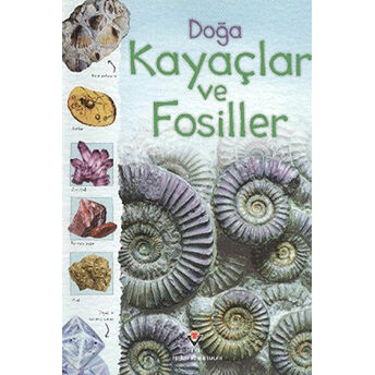 Doğa Kayaçlar Ve Fosiller Struan Reid