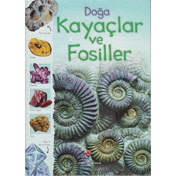 Doğa: Kayaçlar Ve Fosiller Struan Reid