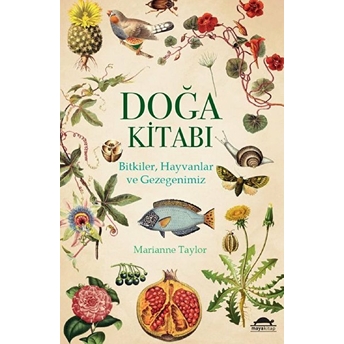 Doğa Kitabı - Bitkiler, Hayvanlar Ve Gezegenimiz Marianne Taylor