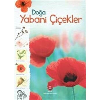 Doğa-Yabani Çiçekler