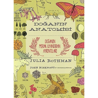 Doğanın Anatomisi Julia Rothman