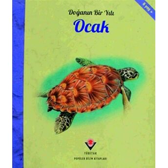 Doğanın Bir Yılı - Ocak Ruth Symons