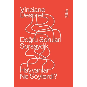 Doğru Soruları Sorsaydık Hayvanlar Ne Söylerdi? Vinciane Despret