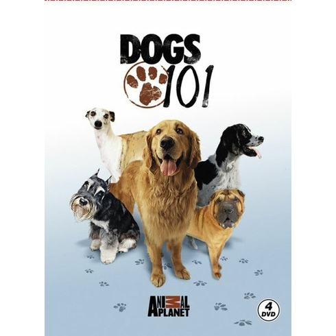 Dogs 101 (Dvd)