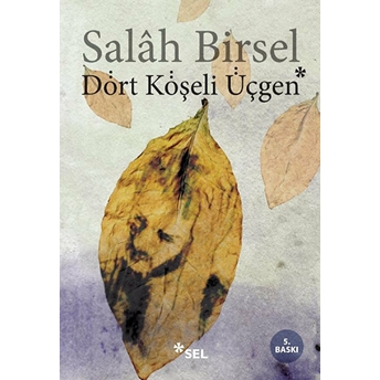 Dört Köşeli Üçgen Salah Birsel