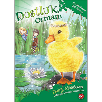 Dostluk Ormanı 3 - Eli Sarıkanat Tek Başına Daisy Meadows