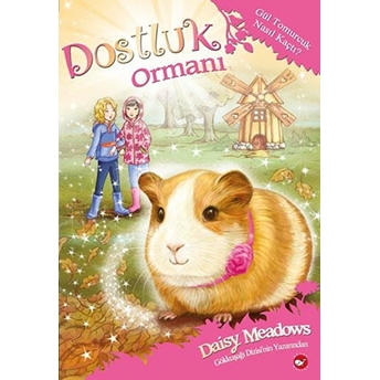 Dostluk Ormanı 8 - Gül Tomurcuk Nasıl Kaçtı? Daisy Meadows