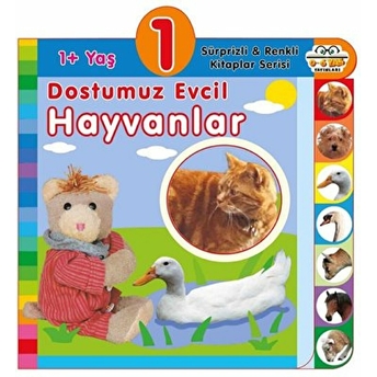 Dostumuz Evcil Hayvanlar (1 Yaş) Olala Books