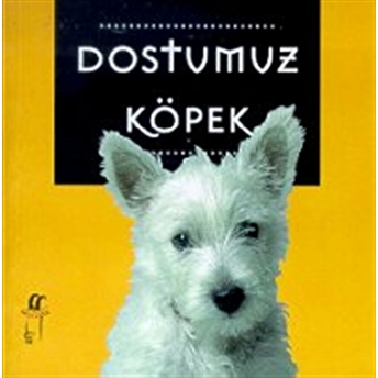 Dostumuz Köpek Julie Mars