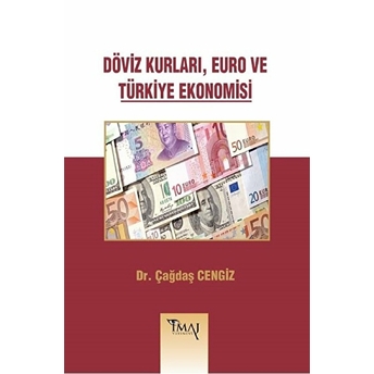 Döviz Kurları, Euro Ve Türkiye Ekonomisi