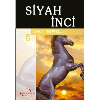 Dünya Klasikleri Genç.dizisi /Siyah Inci Anne Swell