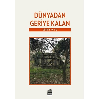 Dünyadan Geriye Kalan Süreyya Su