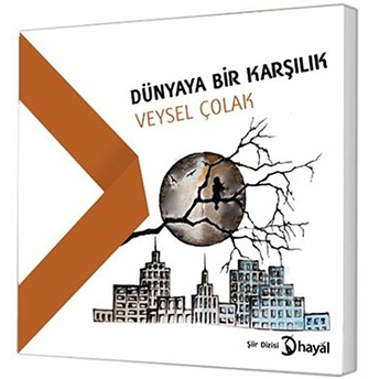 Dünyaya Bir Karşılık Veysel Çolak