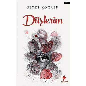 Düşlerim - Seydi Kocaer