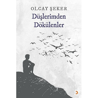 Düşlerimden Dökülenler