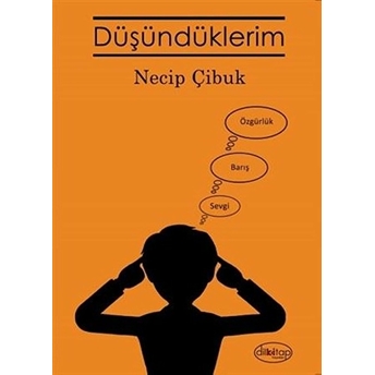 Düşündüklerim