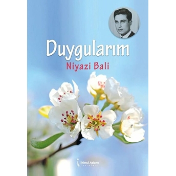 Duygularım