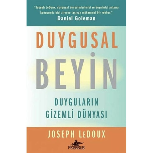 Duygusal Beyin