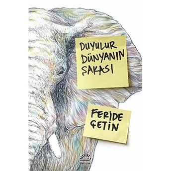 Duyulur Dünyanın Şakası Feride Çetin