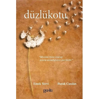 Düzlükotu