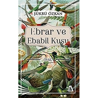 Ebrar Ve Ebabil Kuşu