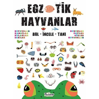 Egzotik Hayvanlar Bul-Incele-Tanı