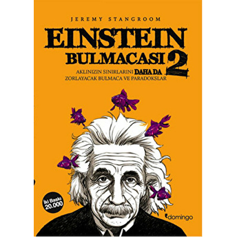 Einstein Bulmacası 2 Aklınızın Sınırlarını Zorlayacak Bulmaca Ve Paradokslar Jeremy Stangroom