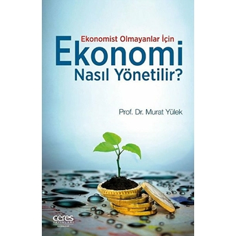 Ekonomi Nasıl Yönetilir? Murat Yülek