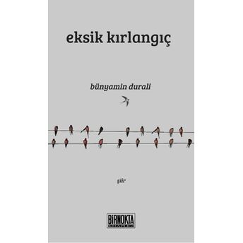 Eksik Kırlangıç Bünyamin Durali