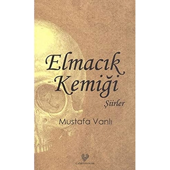 Elmacık Kemiği Mustafa Vanlı