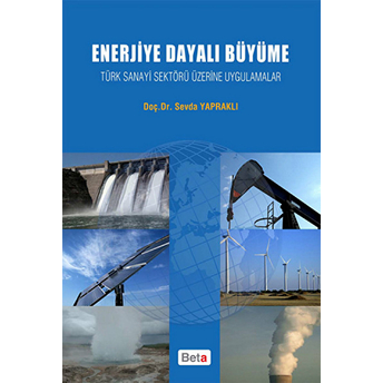 Enerjiye Dayalı Büyüme