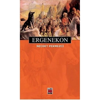 Ergenekon Necdet Pekmezci