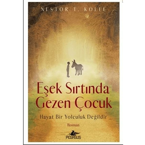 Eşek Sırtında Gezen Çocuk