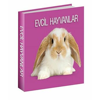 Evcil Hayvanlar Ciltli Kolektif