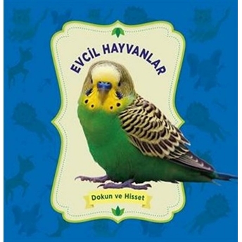 Evcil Hayvanlar - Dokun Ve Hisset Kolektıf