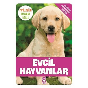 Evcil Hayvanlar Sema Gül