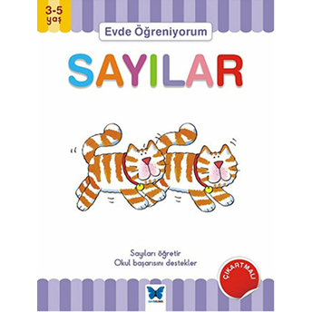 Evde Öğreniyorum - Sayılar Jenny Ackland